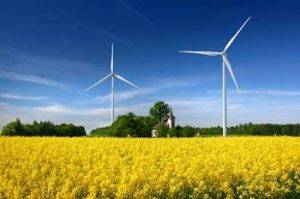 Do Environmental Factors Influence or Cause Autism