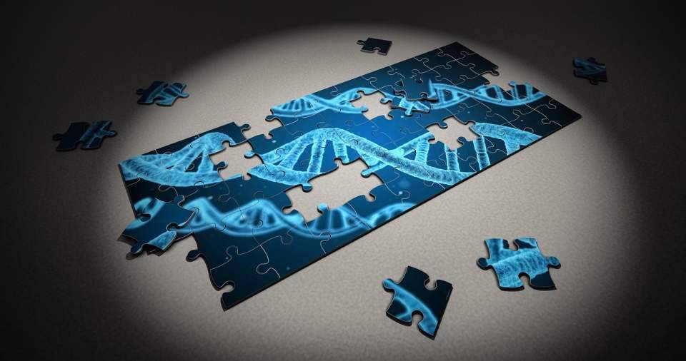 genes discovered for autism 1