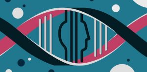DNA segments