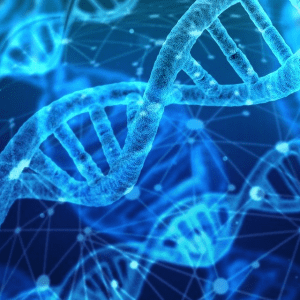 genes linked to autism