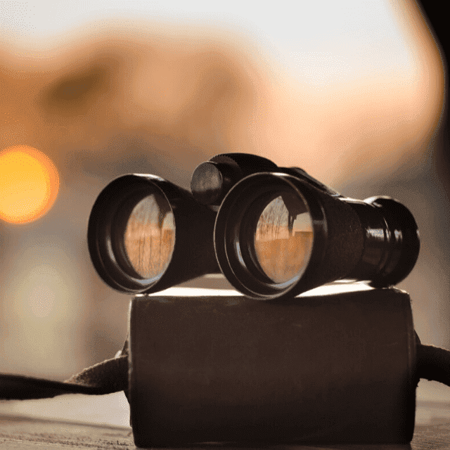 autistic adults visual ability