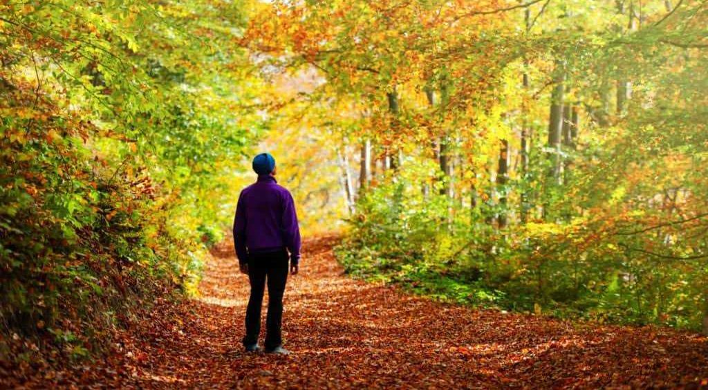 A New Life Begins with Assessment of Autism Spectrum Disorder in Adults